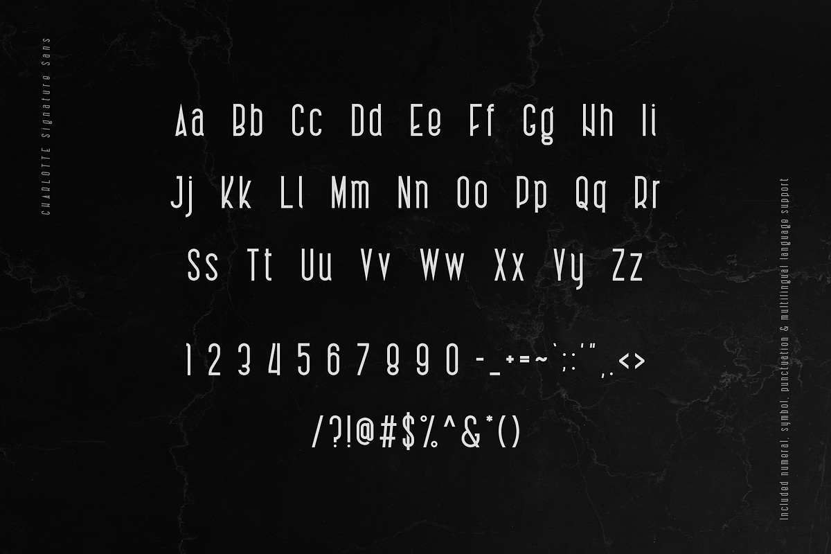 Charlotte Signature Font Duo, a Script Font by Type and Co. (Photo 7 of 18)