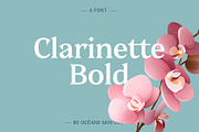 Clarinette Bold, a Serif Font by OceaneM (Thumbnail 1 of 6)