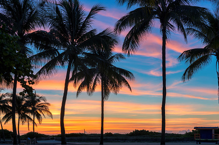 Coco palms at sunrise in miami beach containing sunset, beach, and palm, a Nature Photo by Lucky Photographer