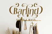 Halind Modern Elegant Serif, a Serif Font by Alfinart (Thumbnail 4 of 10)