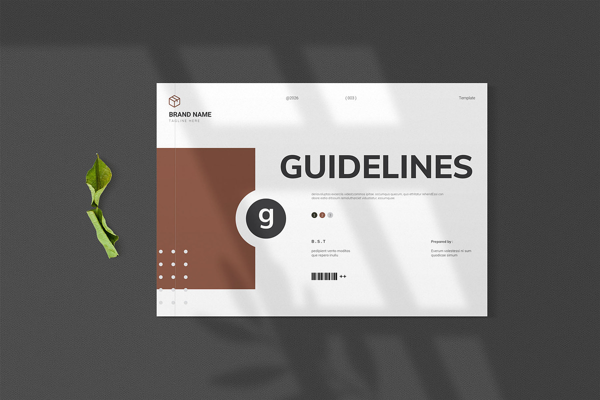 Brand Guidelines Template, a Brochure Template by metastudio38 (Photo 3 of 10)