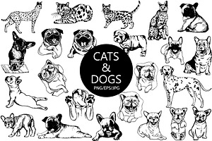 Cats & Dogs
