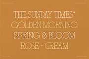 BD Holiday & Picnic, a Slab Serif Font by Brandear Design (Thumbnail 3 of 16)