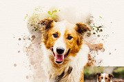 Pet Watercolor Effect Photoshop, an Action Add-On by liptouse (Thumbnail 2 of 10)