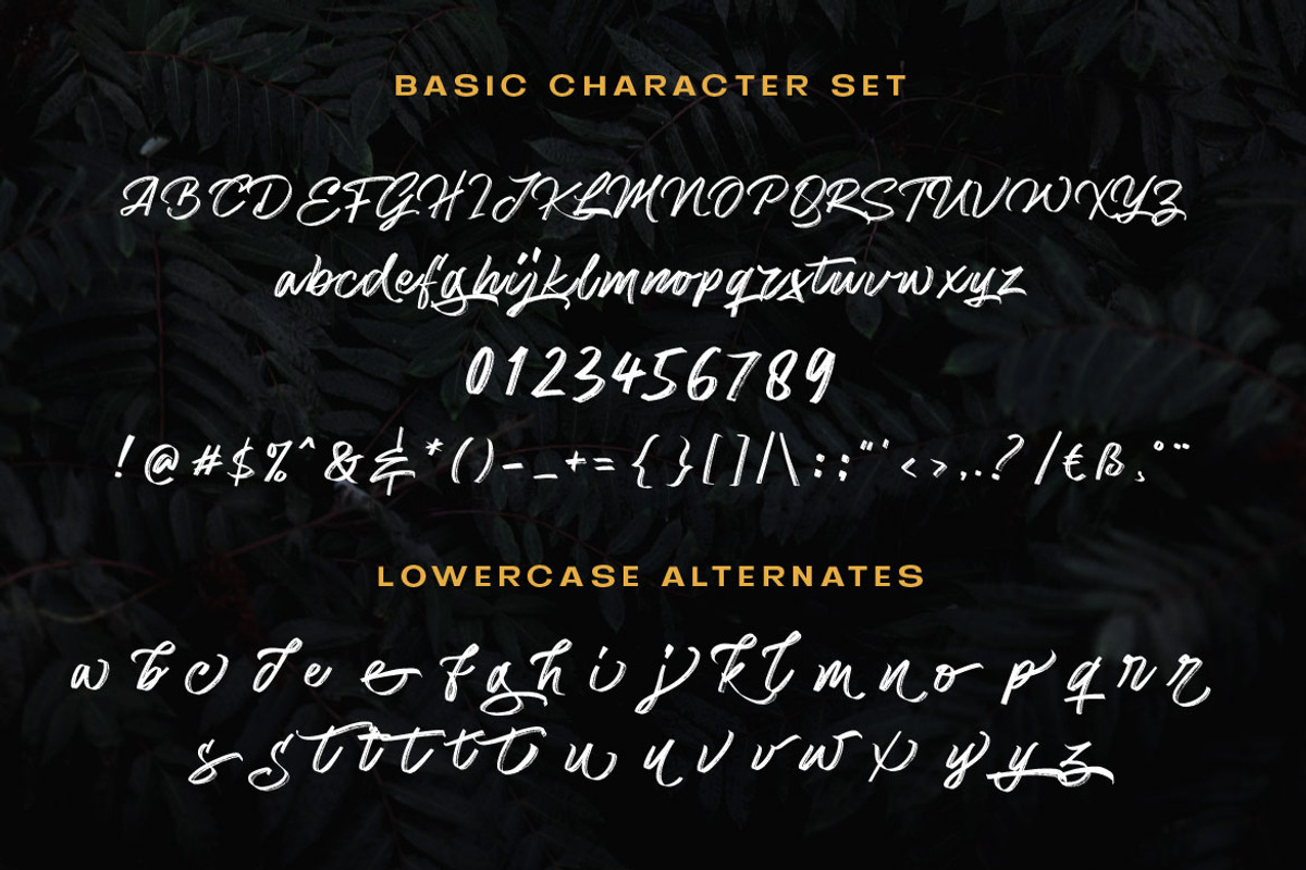 Matriver - Brush Font, a Script Font by Dirtyline Studio (Photo 11 of 11)