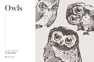 Set of owl illustrations, an Animal Illustration by TheMountBirdStudio