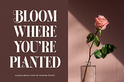 Alissha Bright - Modern Serif, a Serif Font by Shakira Studio (Thumbnail 7 of 10)