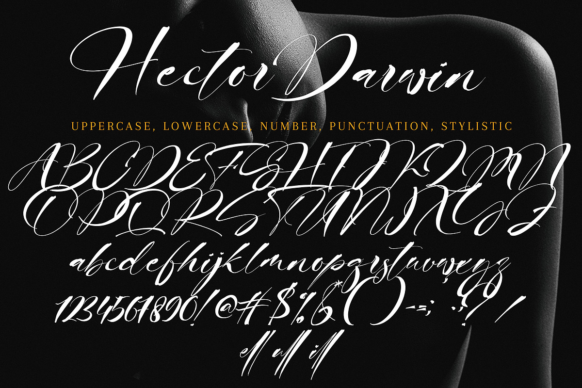 Hector Darwin, a Handwritten Font by HaKi Studio (Photo 5 of 5)