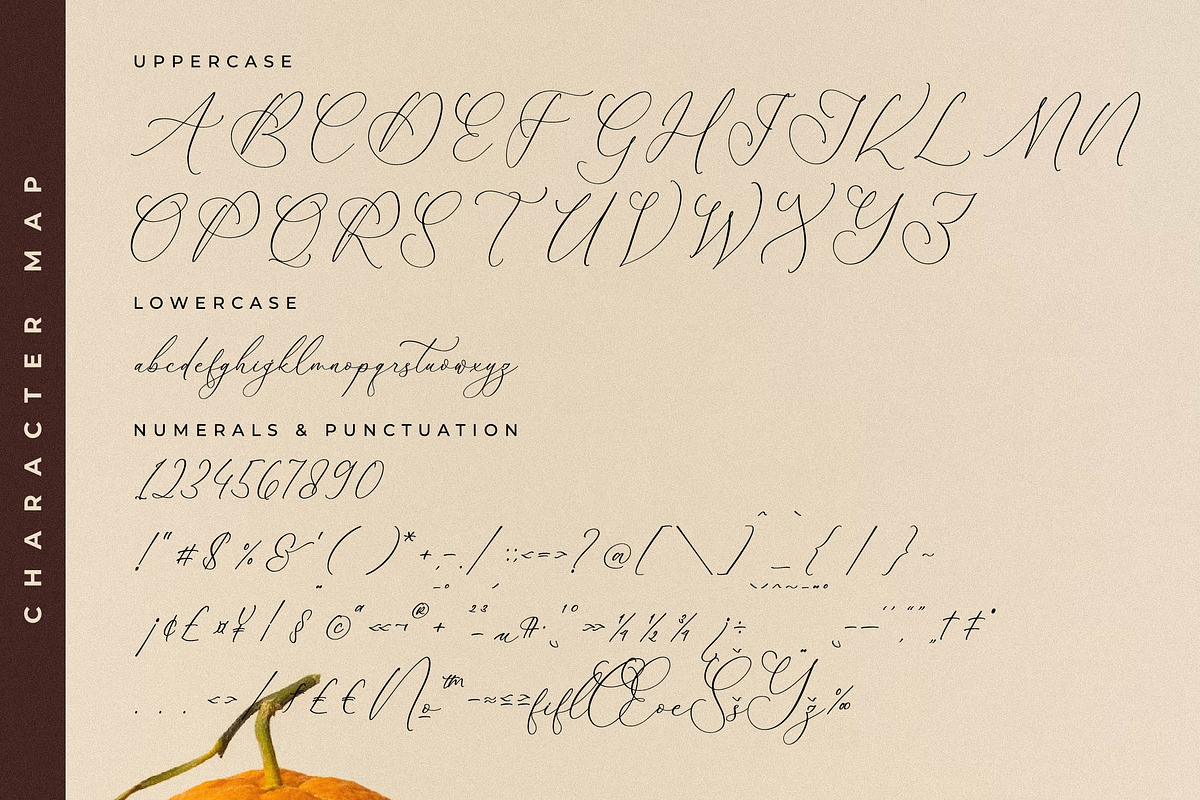 Pemberton Marsden Font Duo, a Serif Font by Storytype Studio (Photo 13 of 15)