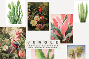 TROPICAL JUNGLE PRINTS GALLERY, a Background Graphic by Lana Elanor (Thumbnail 8 of 10)