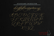 Bulgattie, a Script Font by Alcode (Thumbnail 11 of 11)
