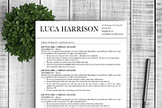 Professional Resume Template, a Resume Template by Resume Template Shoppe (Thumbnail 3 of 5)