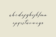 Angelina Rosemary Script Wedding, a Script Font by UICreative (Thumbnail 6 of 13)