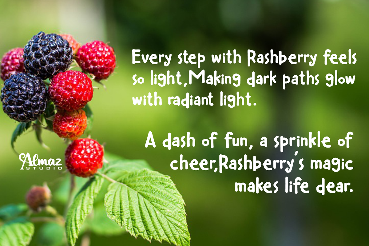 Rashberry, a Handwritten Font by almazstudio (Photo 6 of 10)