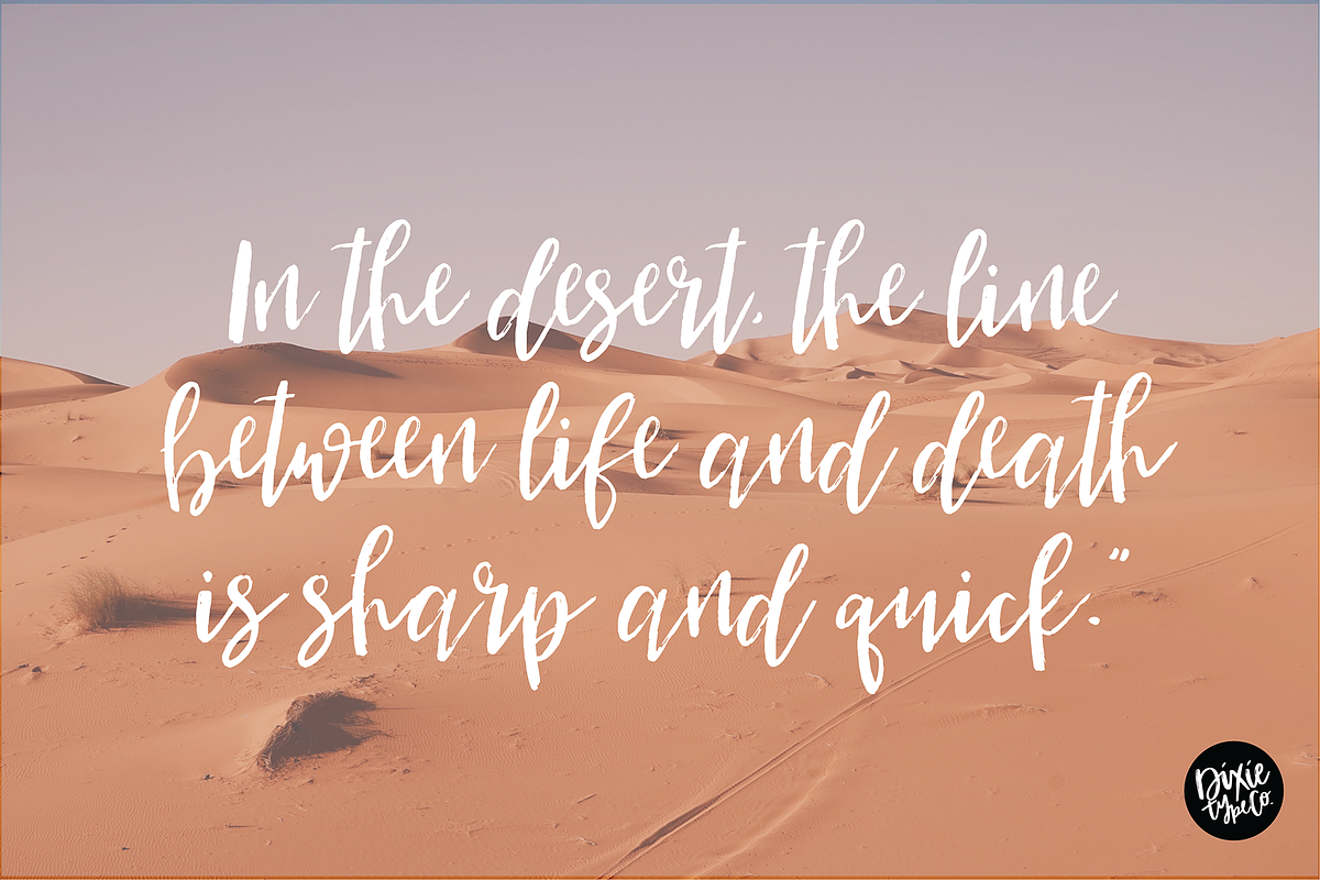 SAHARA a Distressed Script Font preview 2