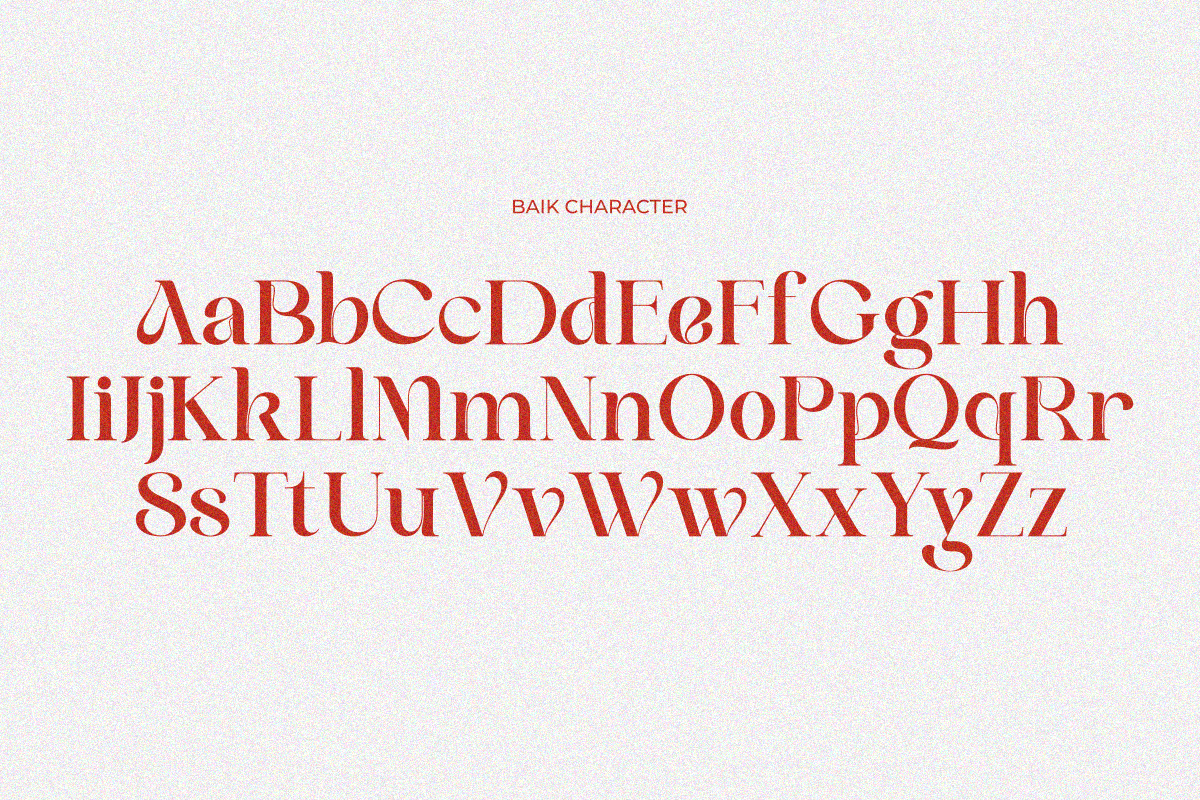 Baik, a Serif Font by zaaintype (Photo 9 of 10)