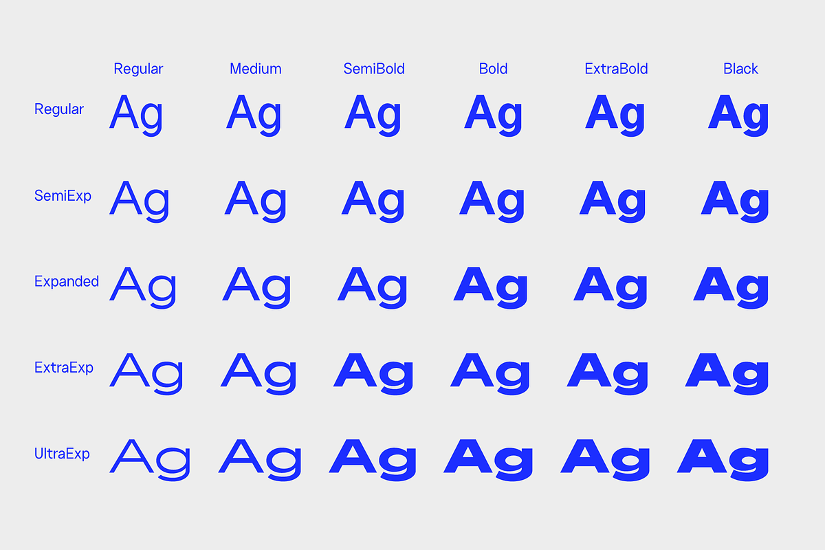 Neuething Sans Family: 30 Fonts, a Sans Serif Font by That That Creative (Photo 2 of 15)