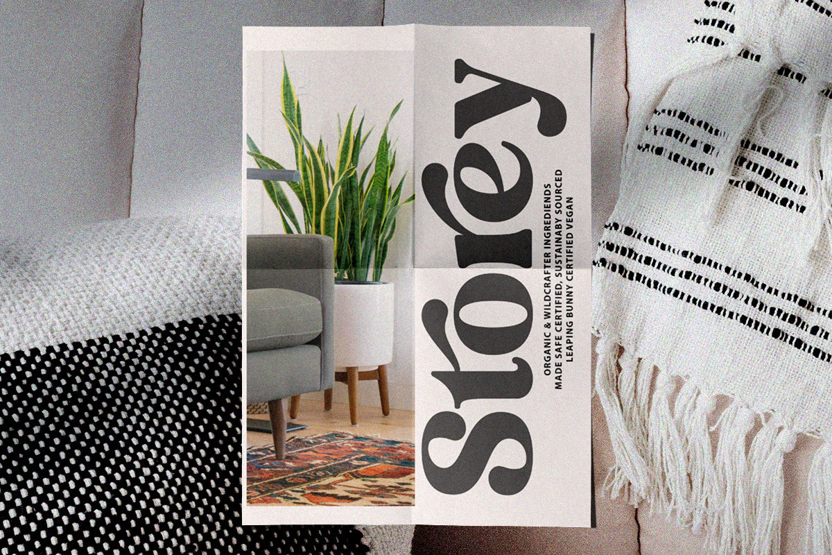 Folker Typeface, a Serif Font by Megatype (Photo 6 of 15)