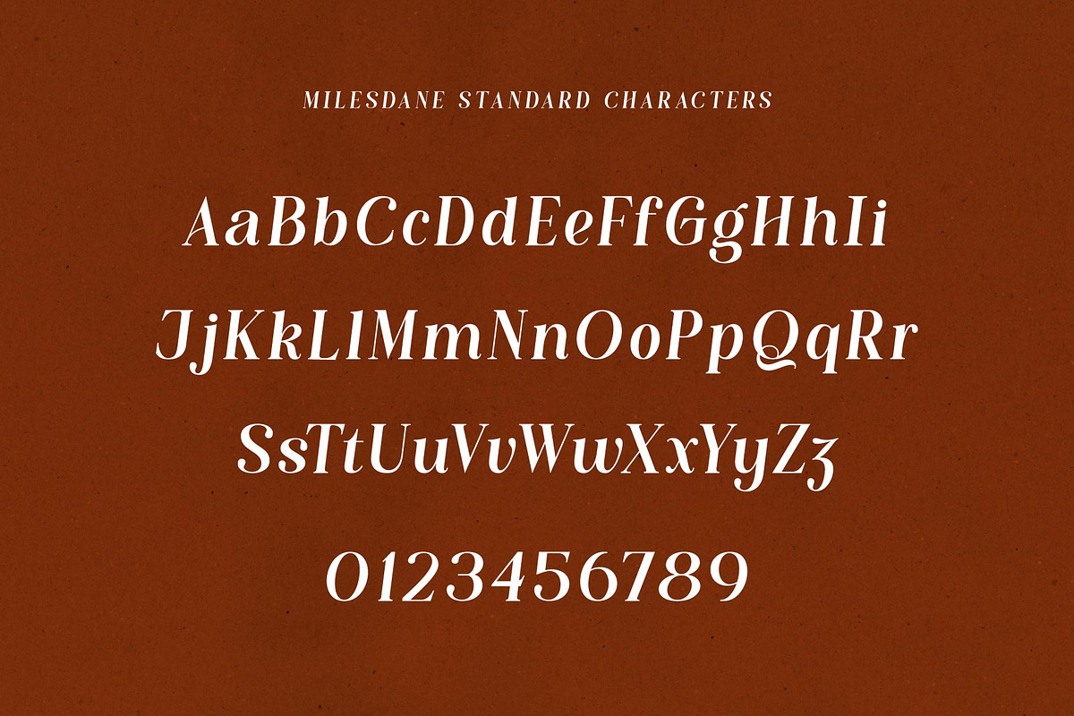 Milesdane; Italic Display Serif, a Serif Font by Eko Bimantara (Photo 8 of 9)
