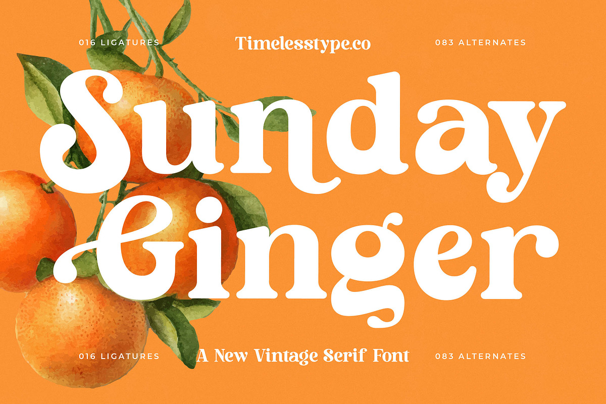 Sunday Ginger Vintage Serif, a Serif Font by timelesstype.co (Photo 1 of 20)
