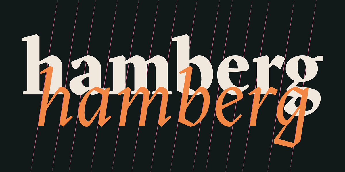 Blizka, a Serif Font by YXType (Photo 4 of 13)
