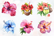 Hibiscus Flower Watercolor ClipArt's, an Illustration by RobertsArt (Thumbnail 6 of 7)
