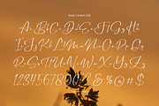 Astelafisa | Classic Signature Font, a Script Font by Denustudios (Thumbnail 11 of 12)