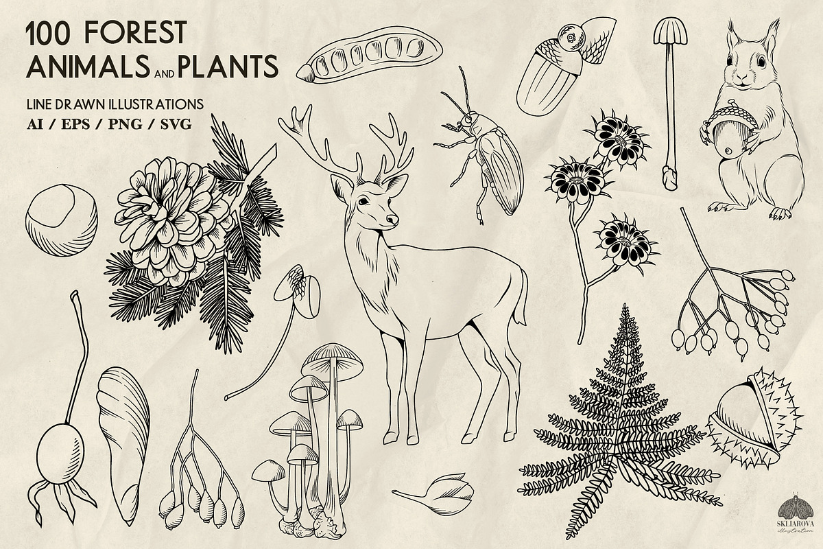Forest Life Line Art + Procreate, an Object Illustration by Skliarova (Photo 6 of 6)