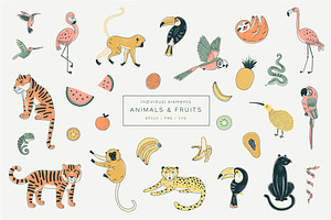 Rainforest Jungle Animals Collection