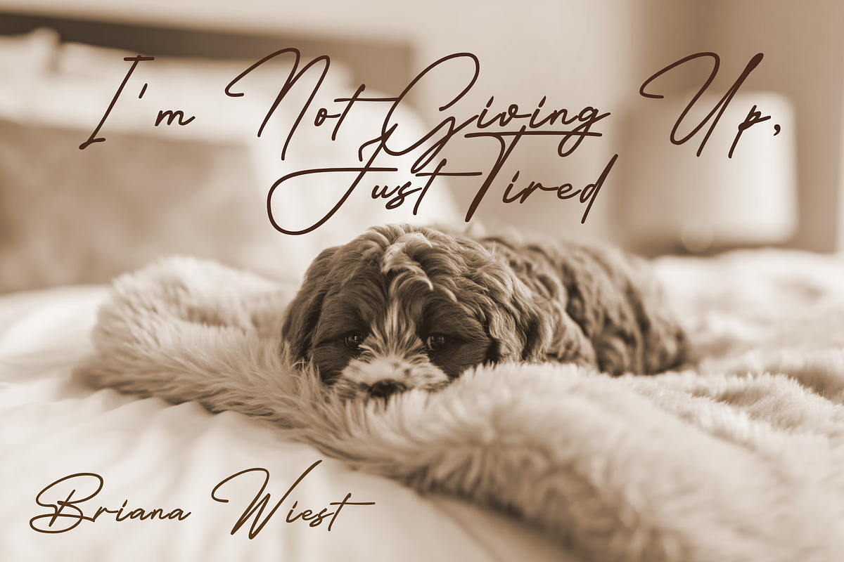 Viollents - Handwritten Font, a Handwritten Font by zamjumps (Photo 4 of 11)