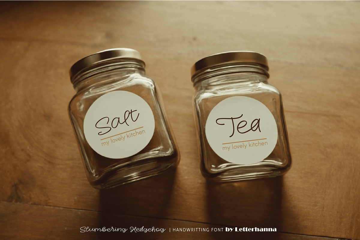 Slumbering Hedgehog Font, a Handwritten Font by Letterhanna Studio (Photo 4 of 24)