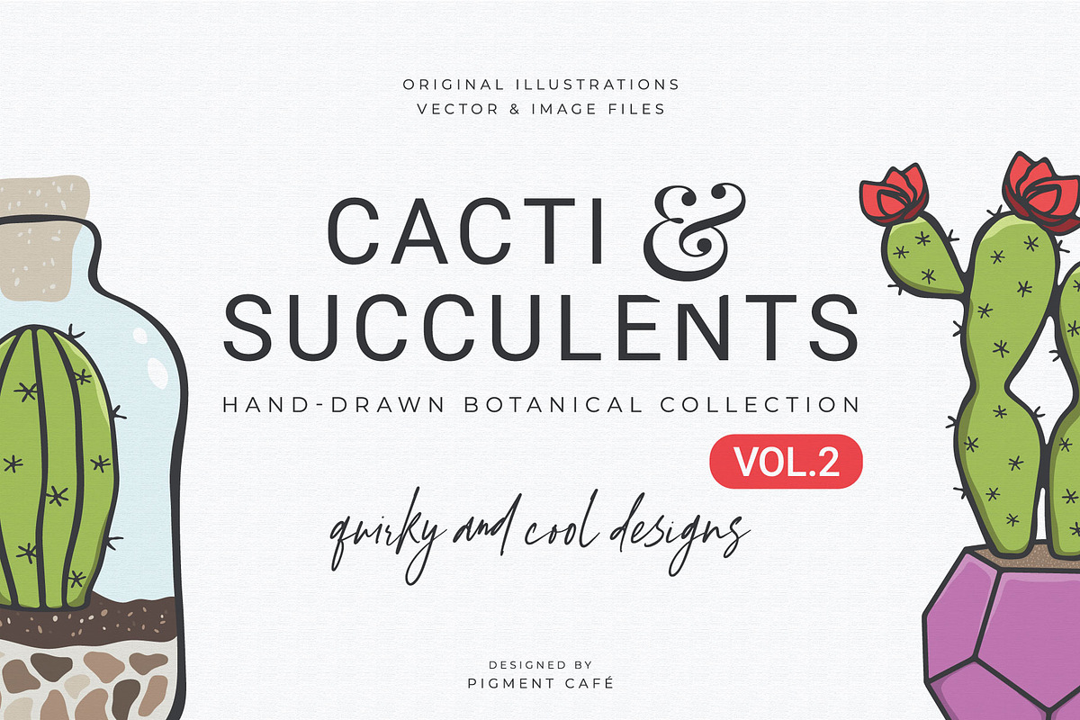 Cacti & Succulents Graphics Bundle 2, a Decorative Illustration by Pigment Café (Photo 7 of 8)