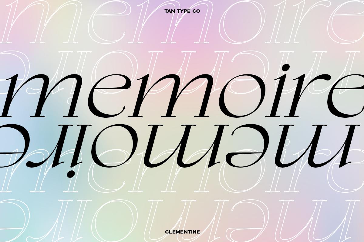 TAN - CLEMENTINE, a Serif Font by TanType (Photo 19 of 20)