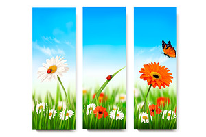 Nature Summer Banners