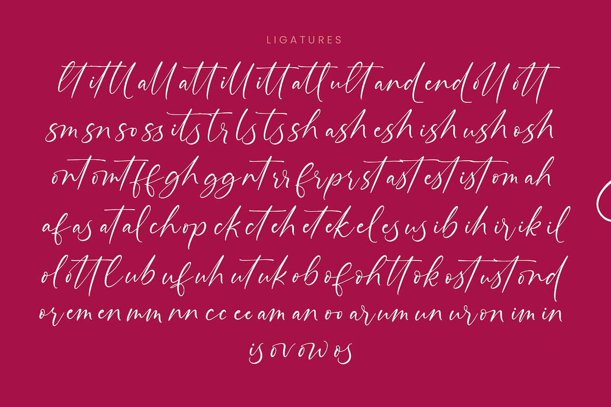 Montise Natasha Stylish Handwritten, a Script Font by stylishtype.co (Photo 19 of 20)