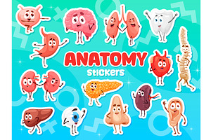 Cartoon human organ characters, a Healthcare Illustration by Vector Tradition