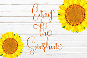 Honeymoon script, a Script Font by akrtype (Thumbnail 4 of 7)