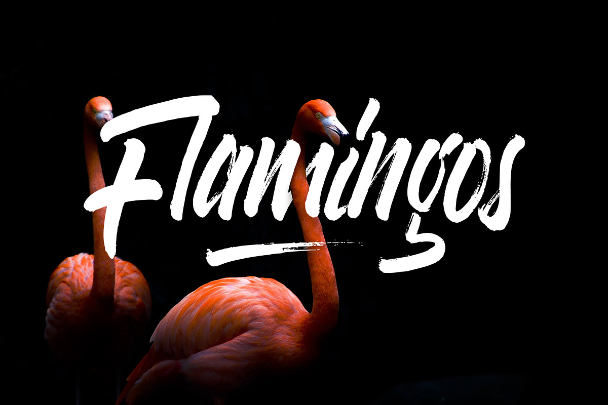 Varokah Fonts preview 2