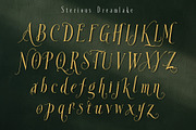 Sterious Dream - Timeless font Trio, a Handwritten Font by HypeWorksCo (Thumbnail 37 of 42)