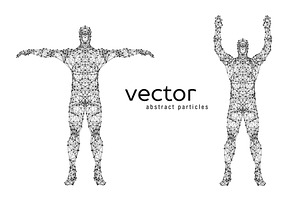 Vector illustration of male body