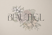 Probity - Creative serif font + more, a Serif Font by VP Fonts (Thumbnail 11 of 22)