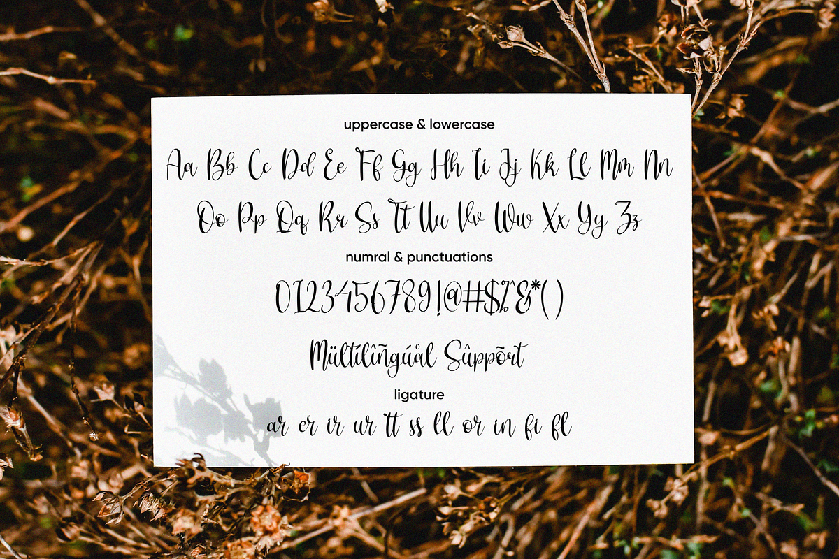 Cristalake, a Script Font by Essentials Studio (Photo 8 of 9)