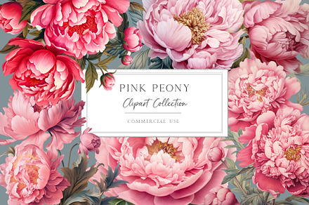 Pink Peony Clipart, a Decorative Illustration by DeepBluesStudio