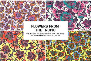 Flowers From The Tropic