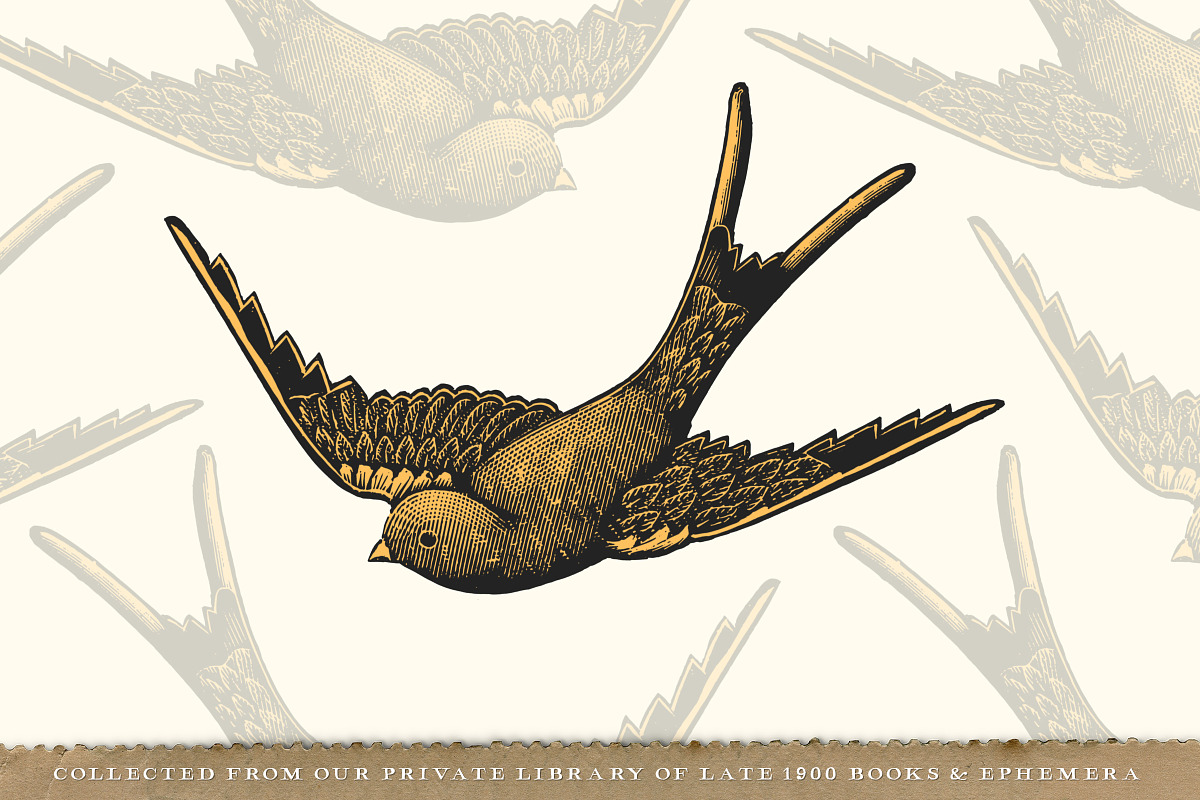 156 Misc. Vintage Illustrations Pack, an Illustration by Century Library (Photo 2 of 6)