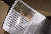 Newsprint Magazine Mockup Set, a Books & Magazine Mockup by Mocku (Thumbnail 8 of 21)