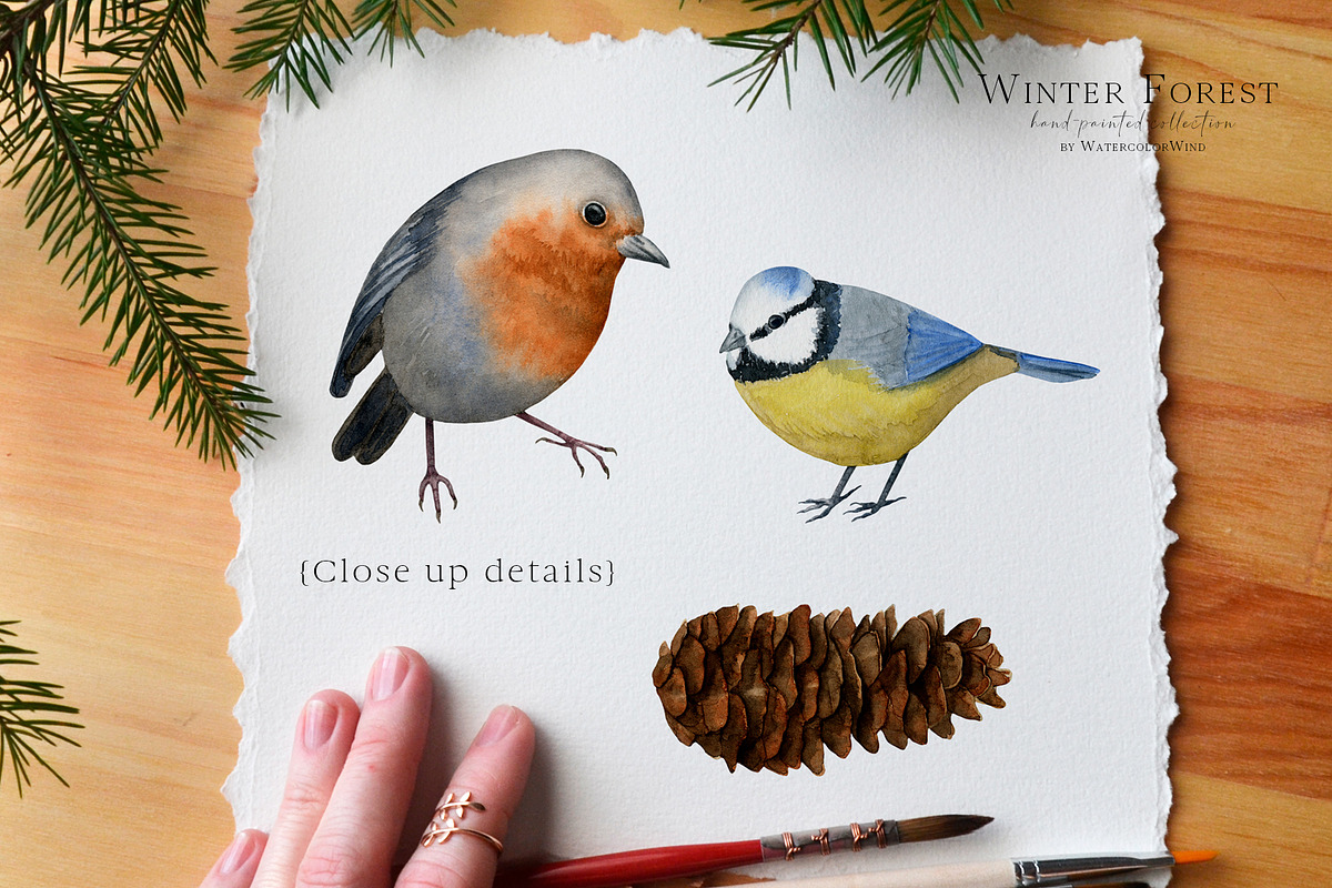Watercolor Winter Forest Clipart, an Illustration by Ksenia Shmakova (Photo 10 of 11)