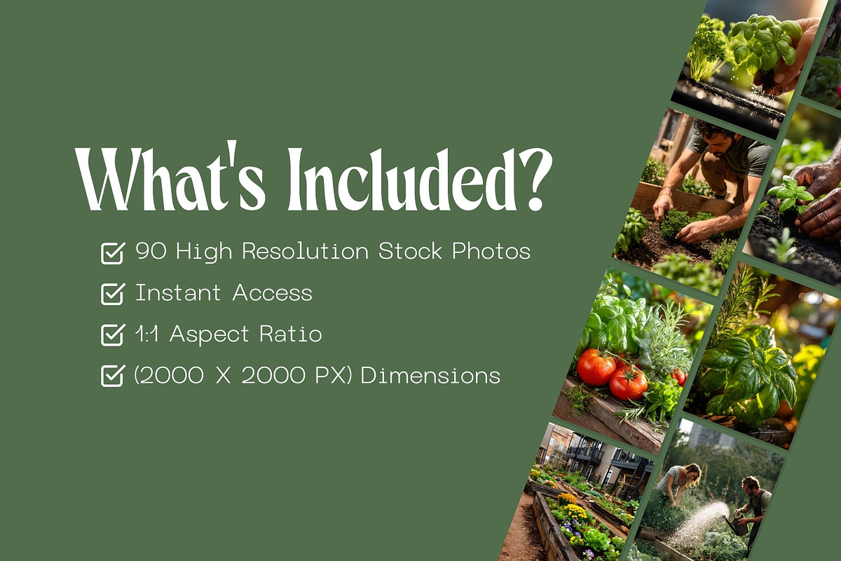 90 Community Garden Stock Photos, a Nature Photo by Incomelion (Photo 17 of 17)