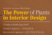 Pujarelah - Serif Family Font, a Serif Font by Differentialtype (Thumbnail 11 of 13)