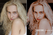 Tangerine Presets - Lightroom & ACR, an Action Add-On by Presetrain Co. (Thumbnail 4 of 12)